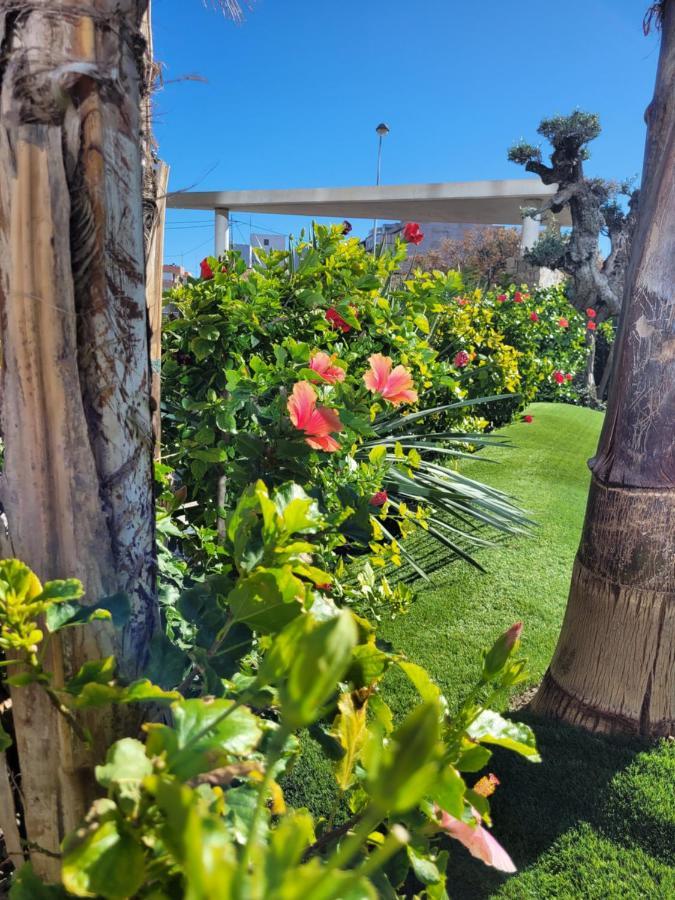 Apartement Verano El Campello - 2 Bedrooms - Piscina - Garaje Екстериор снимка